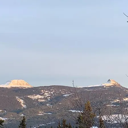 I Enebolig * Fagernes