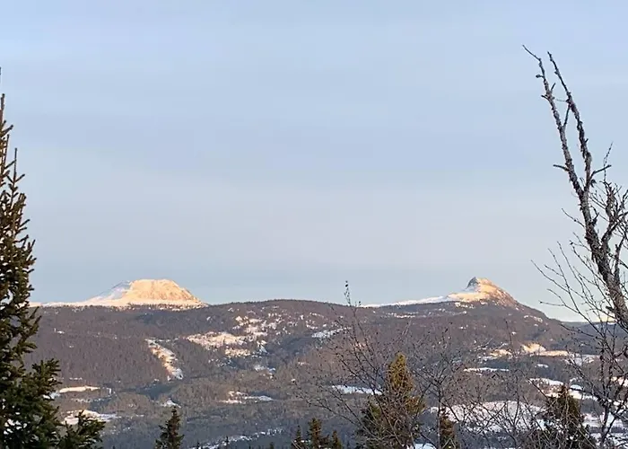 I Enebolig * Fagernes