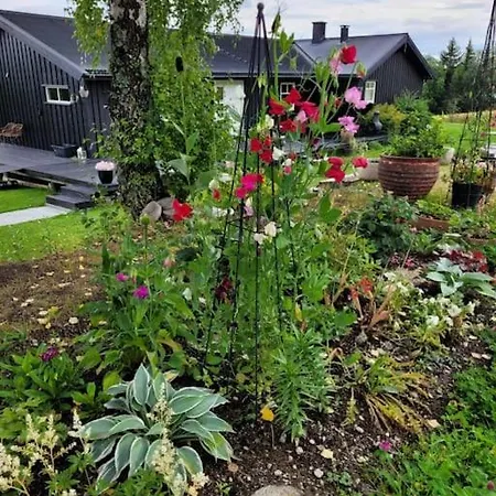Apartment I Enebolig